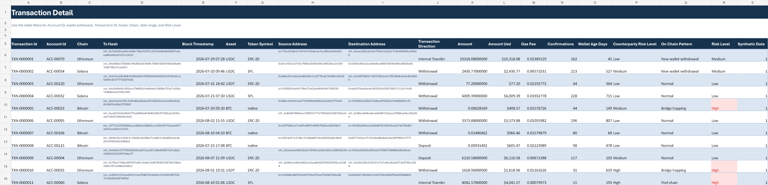 Transaction Detail 工作表，呈現逐筆交易證據